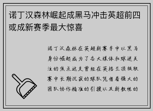 诺丁汉森林崛起成黑马冲击英超前四或成新赛季最大惊喜